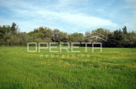 opereta_carousel_photo_5