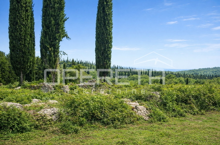 opereta_carousel_photo_8