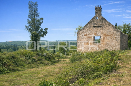 opereta_carousel_photo_7