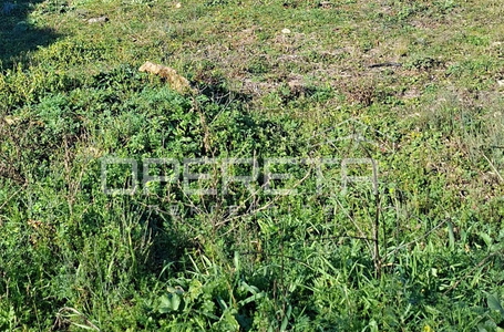 opereta_carousel_photo_3