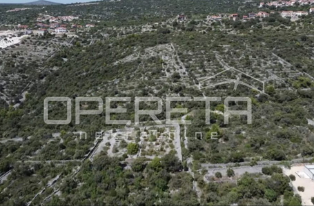 opereta_carousel_photo_3