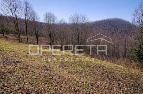 opereta_carousel_photo_4