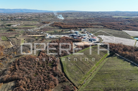 opereta_carousel_photo_6