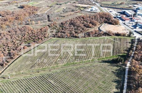 opereta_carousel_photo_8