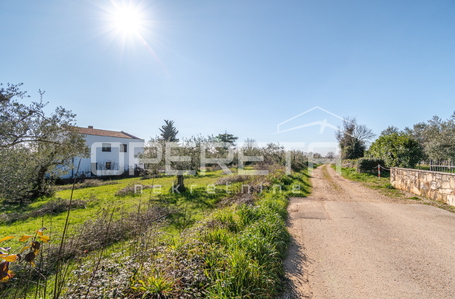 opereta_carousel_photo_3