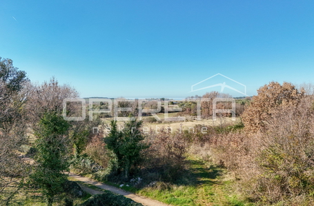 opereta_carousel_photo_4