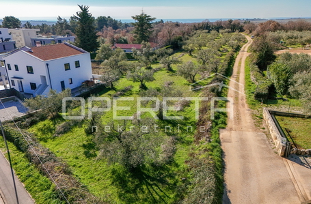 opereta_carousel_photo_5