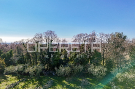 opereta_carousel_photo_8