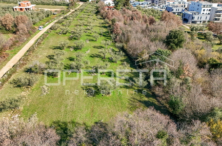 opereta_carousel_photo_9