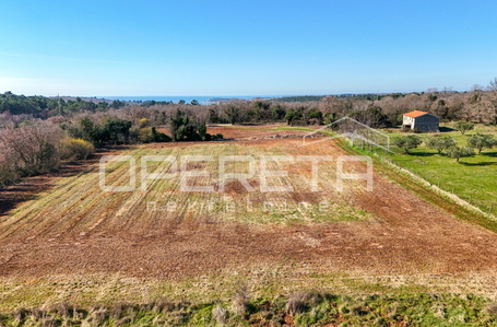 opereta_carousel_photo_3