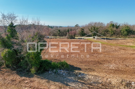 opereta_carousel_photo_4