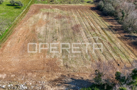 opereta_carousel_photo_5