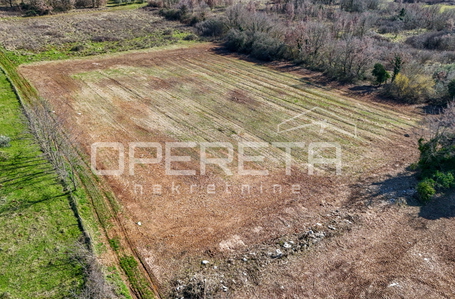 opereta_carousel_photo_6