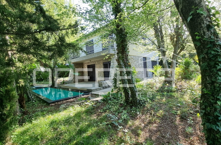 opereta_carousel_photo_6