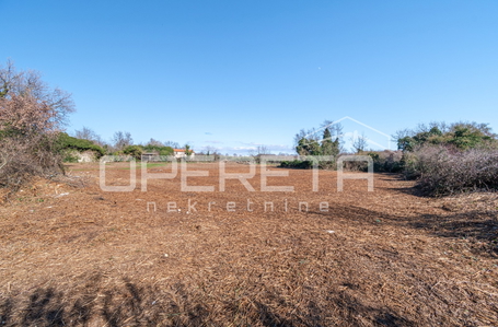 opereta_carousel_photo_2