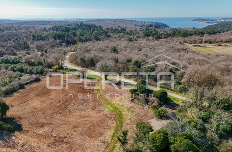 opereta_carousel_photo_3