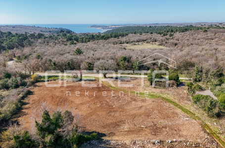 opereta_carousel_photo_4