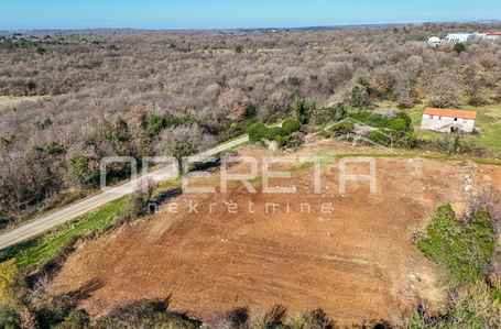 opereta_carousel_photo_5