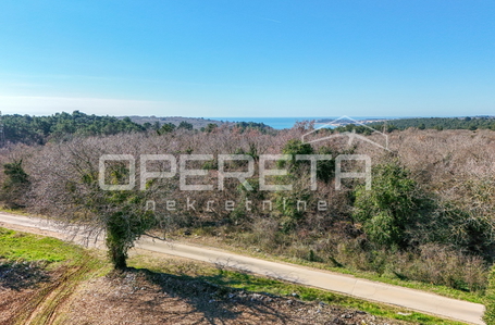 opereta_carousel_photo_6