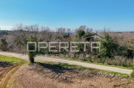 opereta_carousel_photo_7