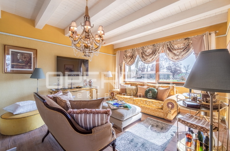 opereta_carousel_photo_7