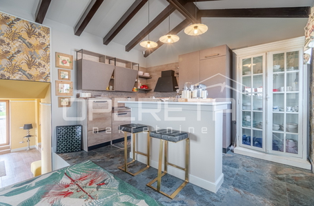 opereta_carousel_photo_4