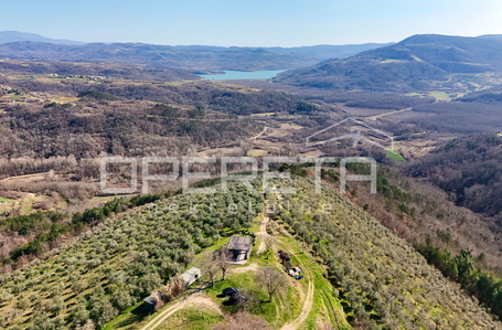 opereta_carousel_photo_2