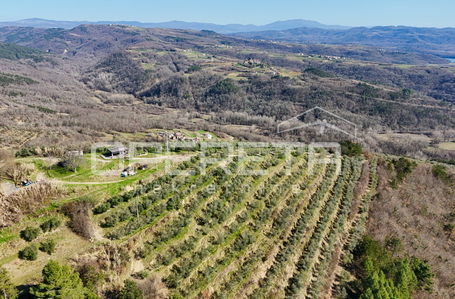 opereta_carousel_photo_3