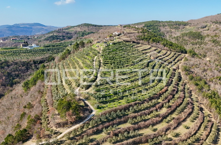 opereta_carousel_photo_5