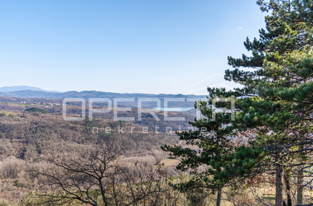 opereta_carousel_photo_8