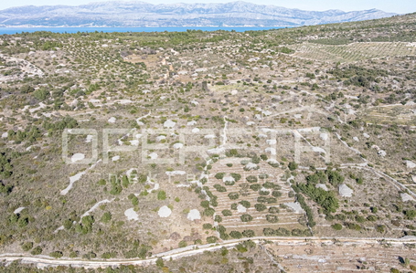 opereta_carousel_photo_3