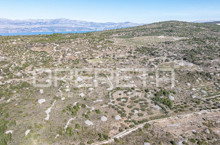 opereta_carousel_photo_6