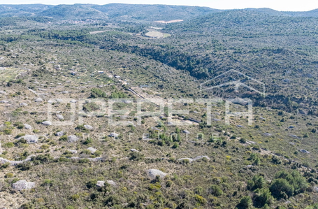 opereta_carousel_photo_7