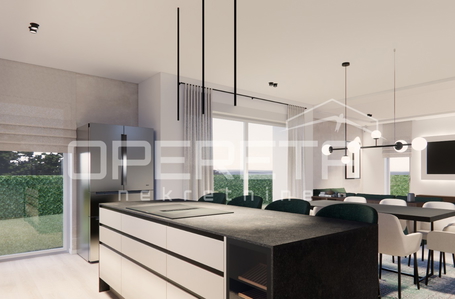 opereta_carousel_photo_2