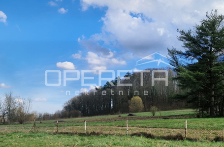 opereta_carousel_photo_3