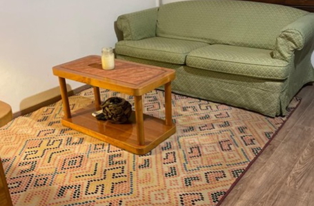 opereta_carousel_photo_5