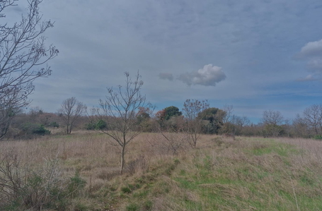 opereta_carousel_photo_2