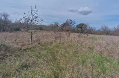 opereta_carousel_photo_3