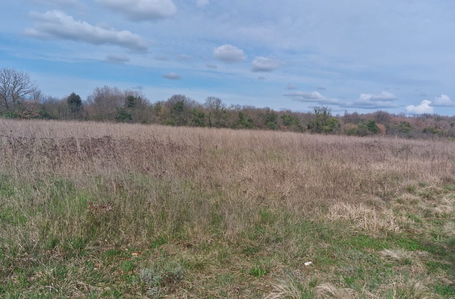 opereta_carousel_photo_4