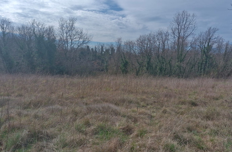 opereta_carousel_photo_5