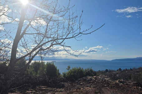 opereta_carousel_photo_2