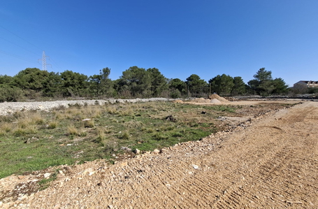 opereta_carousel_photo_6