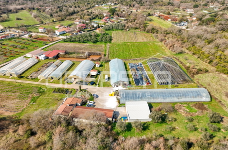 opereta_carousel_photo_4