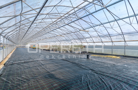 opereta_carousel_photo_3