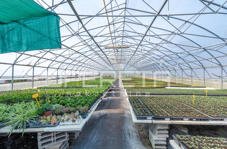 opereta_carousel_photo_2