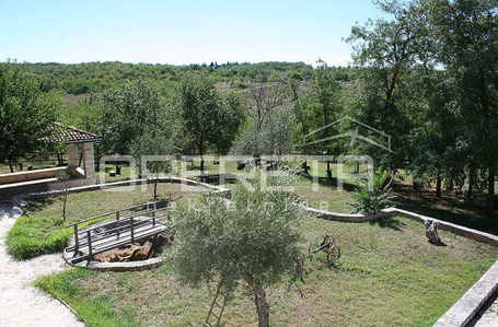 opereta_carousel_photo_3