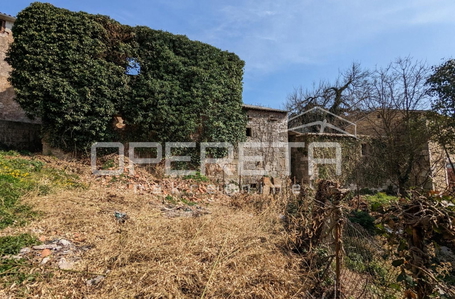 opereta_carousel_photo_8