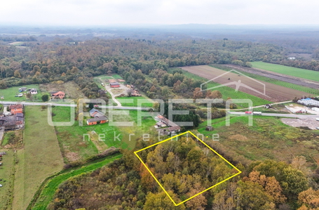 opereta_carousel_photo_4