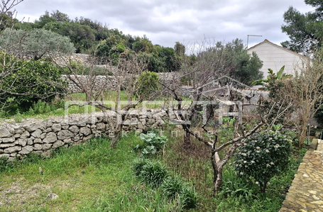 opereta_carousel_photo_7