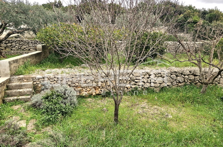 opereta_carousel_photo_8